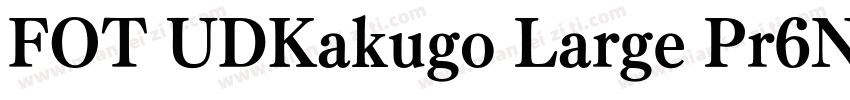FOT UDKakugo Large Pr6N U字体转换